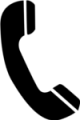 logo100phone