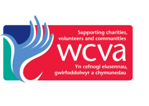 logo_premio_WCVA